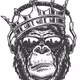BigKingKaz