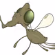 Botfly