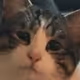 0x2238401d09acbb48665f33e2acc16222c24f511e