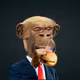 Hippo254