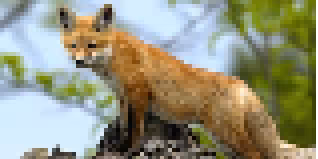 OpenSea profile picture for @Timid
