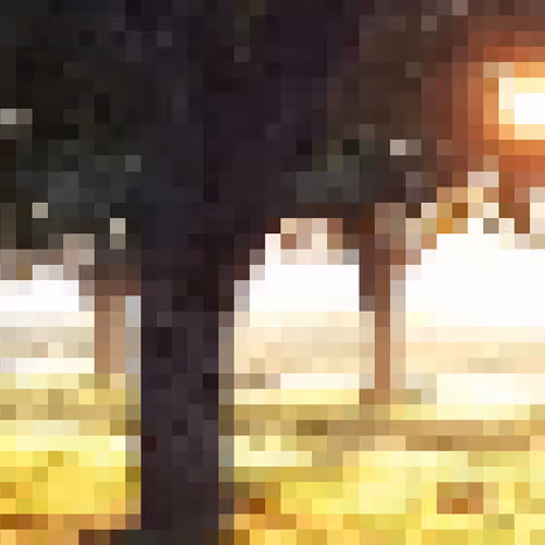OpenSea banner for @Timid