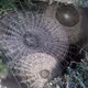 Da_3rd_WEB