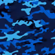 Gallo03_DEGEN