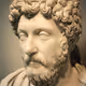 Pliny