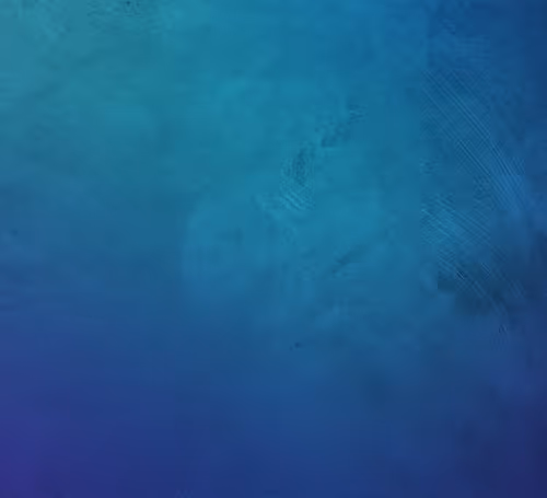 OpenSea banner for @originality