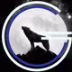 WolvesMindset