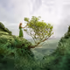 elizabethgadd