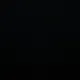 mr_conradicus