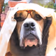 Dr_Matthias