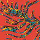 xbenzx