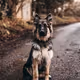 0x233f16cca4d2019d500b2561514c0f39f944fd89