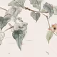 emeishanhao.eth