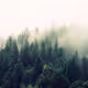 0x23af5ab3591f6d143bb9531f01ecf1b765a22426