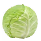 CabbageMan