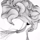 Sombrerry
