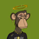 CoinZ_Gainer7