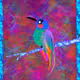0x23e85e7ad9ca0827afe41ff5cf67bcc26c5ccaaf