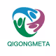 QigongMeta