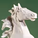 ITALIANHORSE