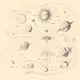 0x23f7e3dc59a18ebb61d36f4111995ccfe684cfe4