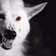 TheWhiteWolf19