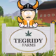 CryptoTegridy