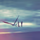 FlyDesigns