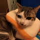 Jeffrey0330