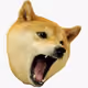 Doge_woof