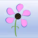 miss_nft