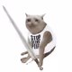stopbeingpoorcat