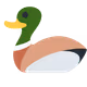 TRDuck