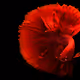 0x251b405c7788b1d02d0fa24a38f0721a79f9aadd