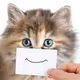 MyHappyCat