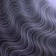 canvas_51