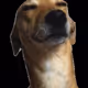 0x2570003b321656d078b61fa0c74cb71ac82e40d8