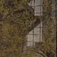 0x257e79643dca8632dfc92ef1e7712df54de2bbcc