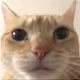 Ol_ju
