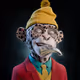 JohnnyMarket