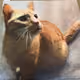 Freya22
