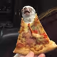MrPizzas