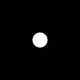 DotCitizen