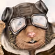 StratoHamster