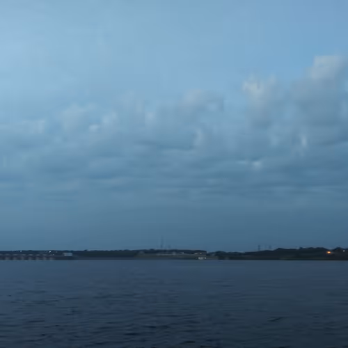 OpenSea banner for @yanny