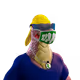 CheapCharly