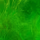 0x2688ceb8253ccfb908cd2a7a2c9c428230cedcdf