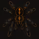 HolySpiderNoise