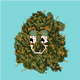 NFTnuggies