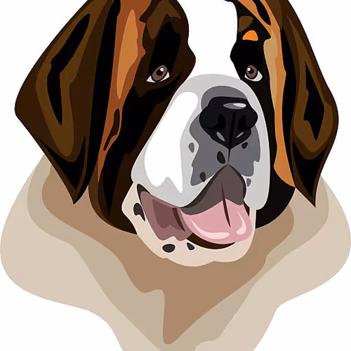 OpenSea profile picture for @incinerator